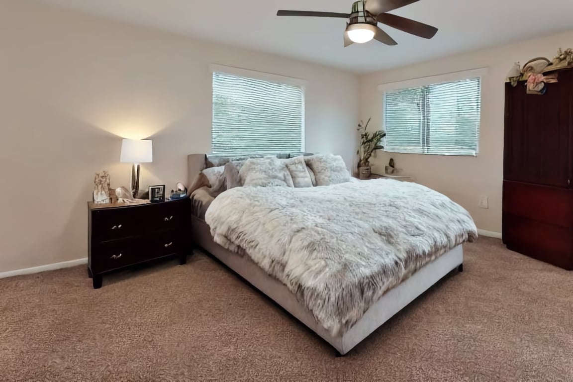 Plush Carpet in Bedroom