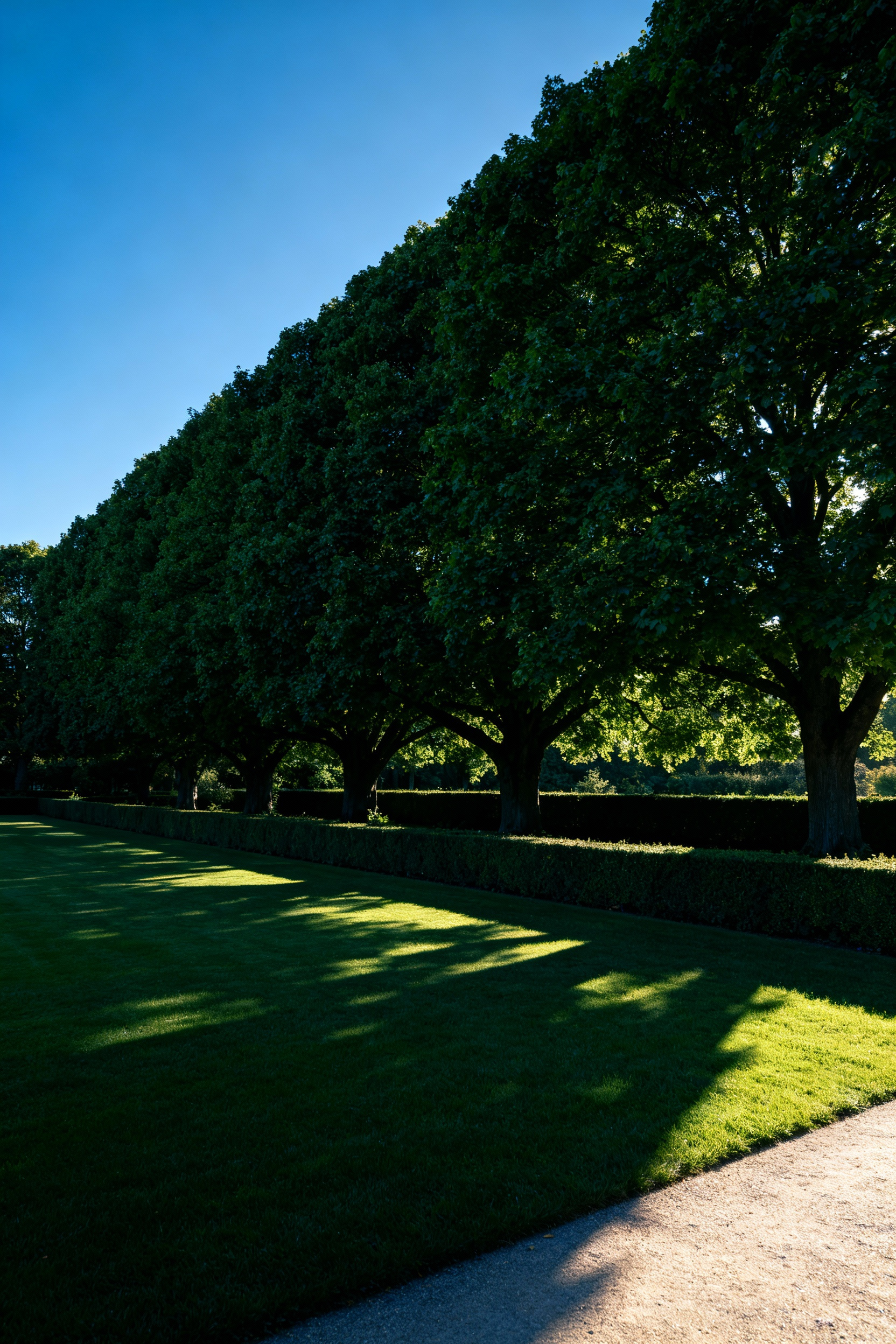 A lush lawn garden featuring large, strategically grouped canopy trees casting deep shade for passive cooling and creating a cooler microclimate.