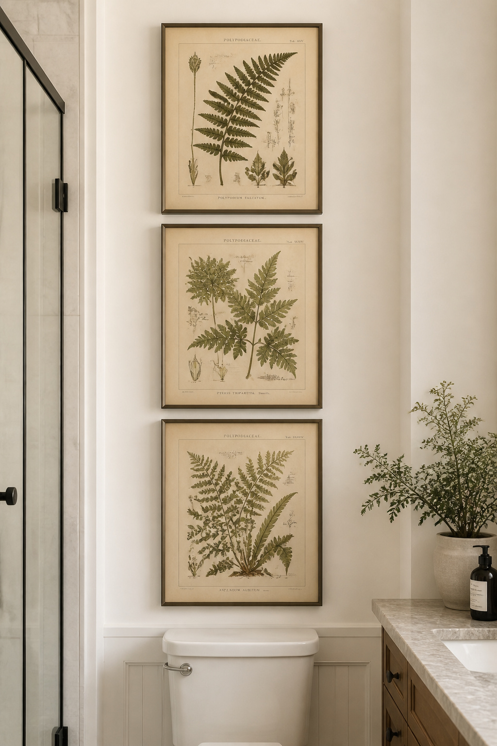 A vertical stack of three framed 18th-century botanical fern illustrations in slim metal frames with acrylic glazing — a gallery wall approach that transforms a bathroom's blank wall into deliberate art.