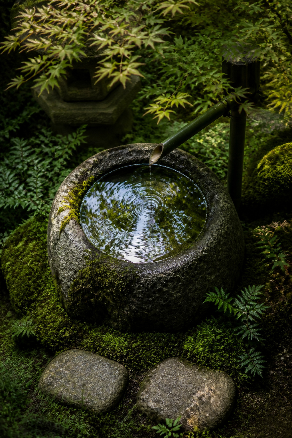 A granite tsukubai basin fed by a bamboo spout creates the most intimate water feature in any backyard garden — audible before it is visible, meditative in proportion.