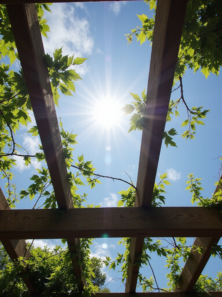 View from underneath a pergola showing sunlight filtering through wooden beams and rafters, creating patterns of light and shadow, with some green leaves.
