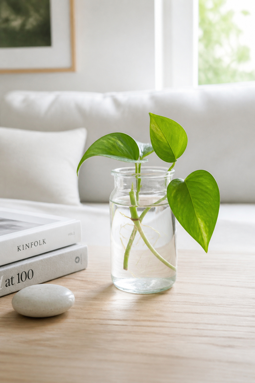 A pothos cutting rooted in a glass jar is one of the most minimal and beautiful plant options for a coffee table — the visible roots are decorative in themselves, and the plant thrives in the low indirect light typical of most living rooms.