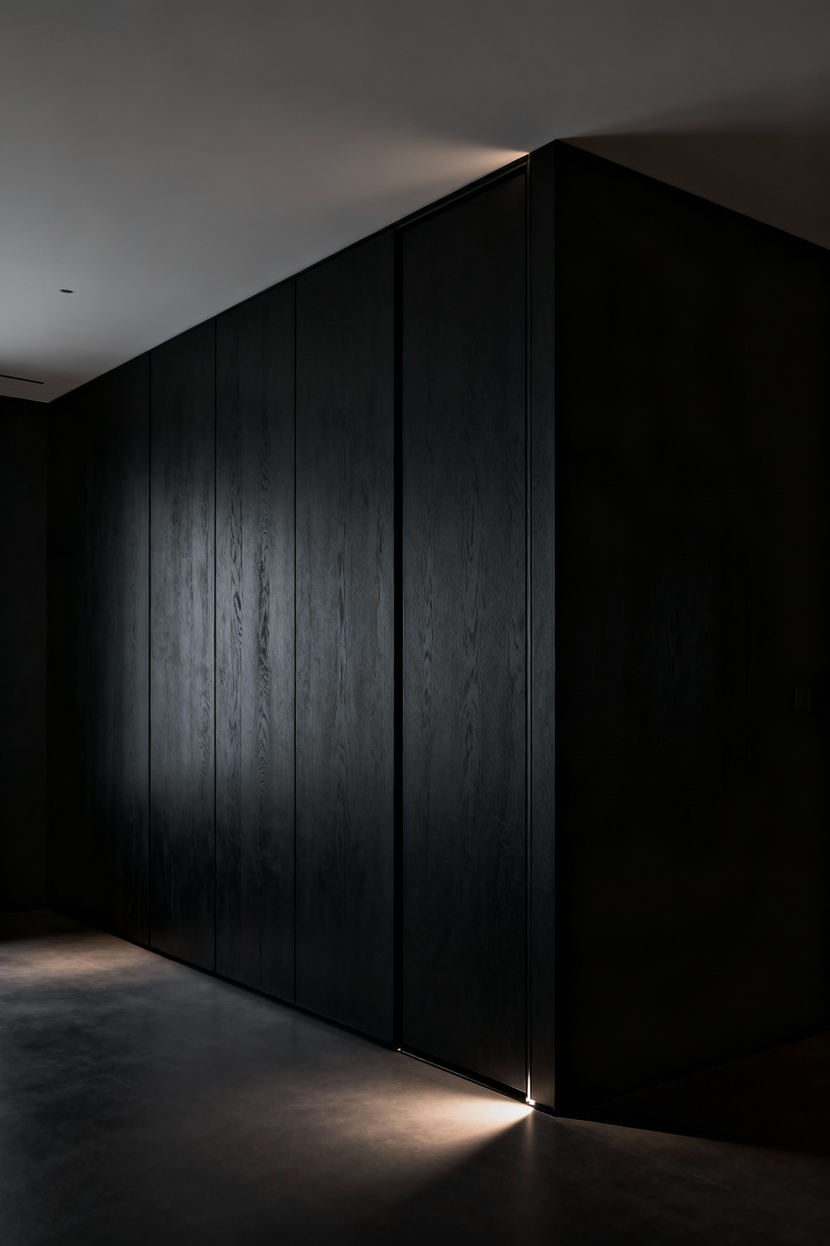A professional, portrait-oriented image showcasing a seamless black wall in a modern living room. The wall is composed of matte black panels with nearly invisible seams, hinting at hidden storage solutions like concealed cabinetry or a pivot door, creating a sophisticated and uncluttered aesthetic. Soft atmospheric lighting highlights the texture of the black materials.