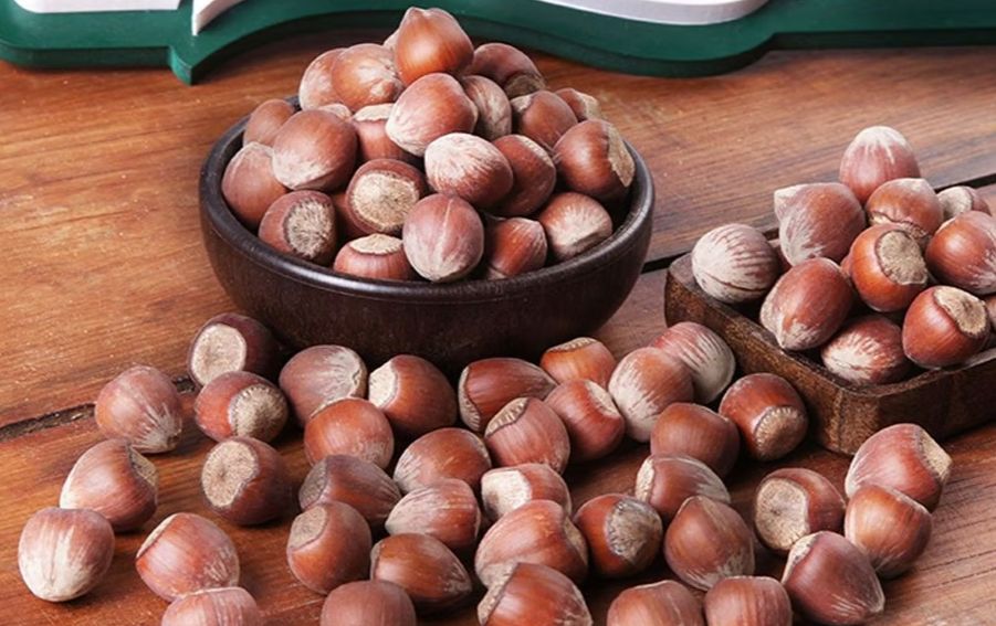 Fındık Fiyatında Değişim Var mı? Cevabı Burada 8 Kasım 2024 Fındık  Fiyatları | FINDIK TV