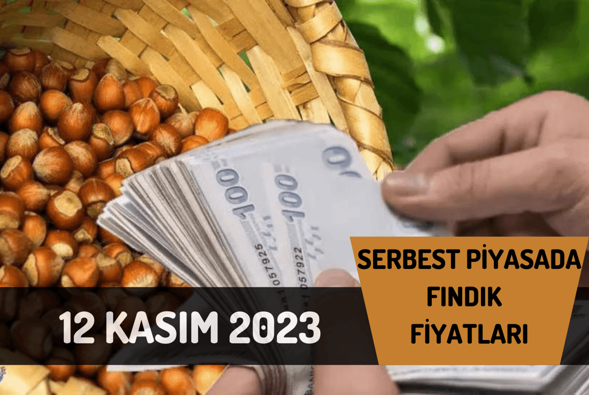 12 KASIM 2023 Serbest piyasada fındık fiyatları | FINDIK TV