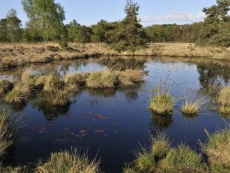 Wandelroute de Huisvennenroute, vlak bij Boxtel