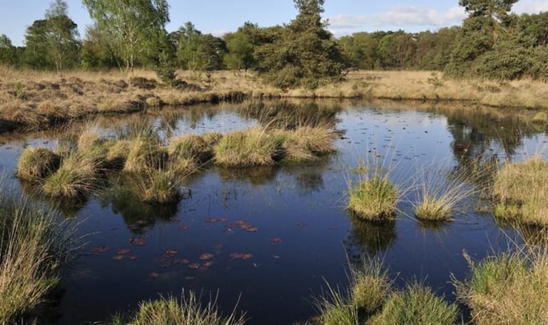 Wandelroute de Huisvennenroute, vlak bij Boxtel