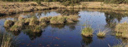 Wandelroute de Huisvennenroute, vlak bij Boxtel