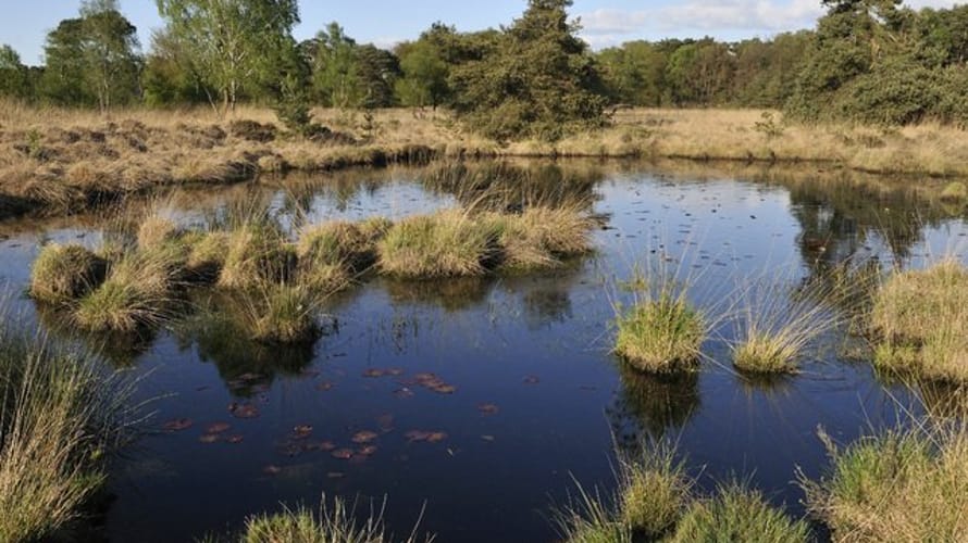 Wandelroute de Huisvennenroute, vlak bij Boxtel