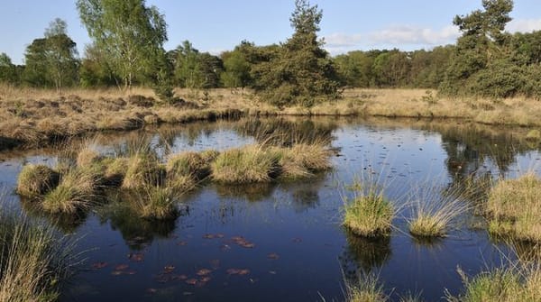Wandelroute de Huisvennenroute, vlak bij Boxtel
