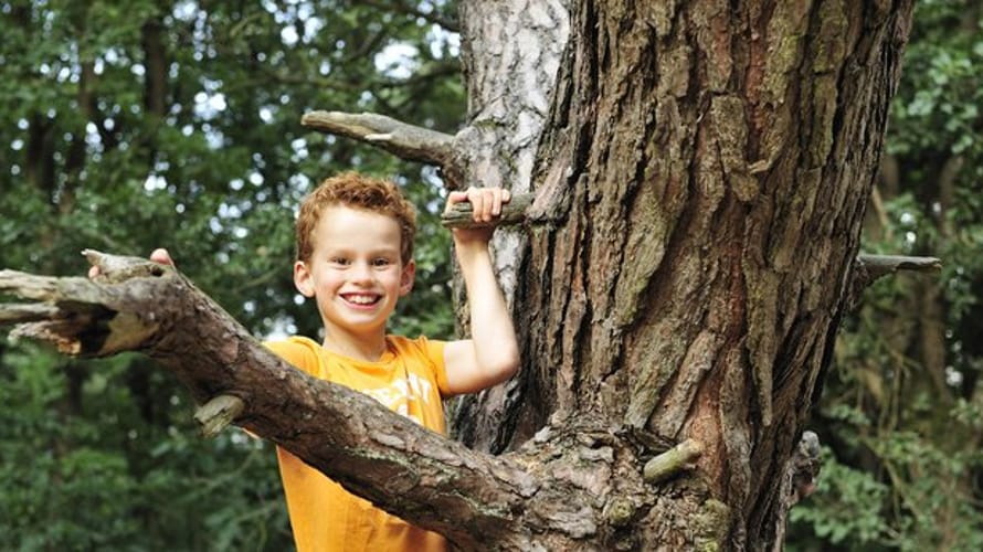 Wandelroute Heumensoord bij Nijmegen