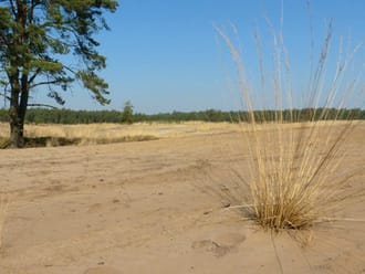 Wandelroute Mier, vlak bij Ossendrecht