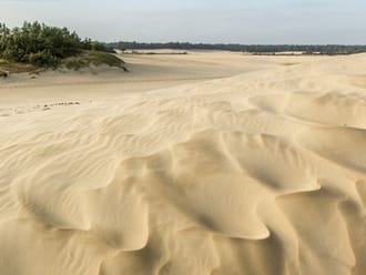 Wandelroute Bosch en Duin, vlak bij Udenhout