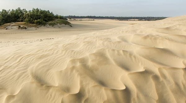 Wandelroute Bosch en Duin, vlak bij Udenhout