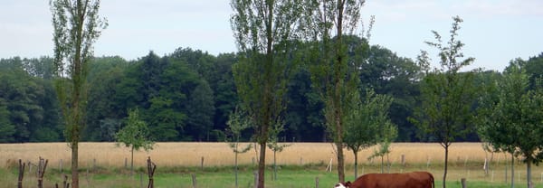 Boerenland
