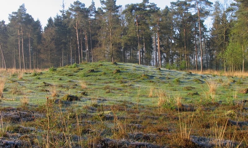 Grafheuvel Noordlaarderbos Natuurmonumenten