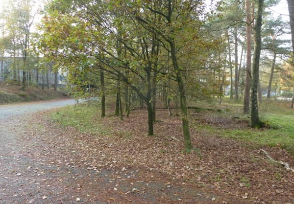 Bommenlijntje