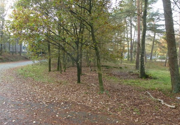 Bommenlijntje Bommenlijntje