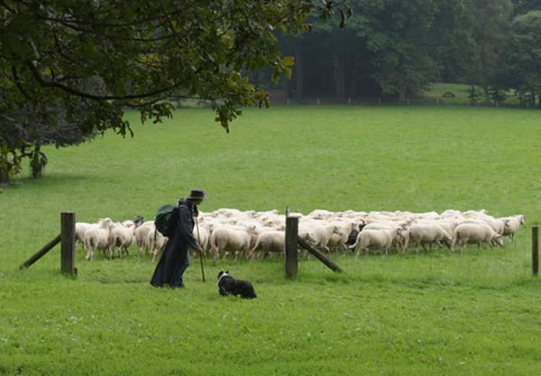 Bokkesprongen Bokkesprongen