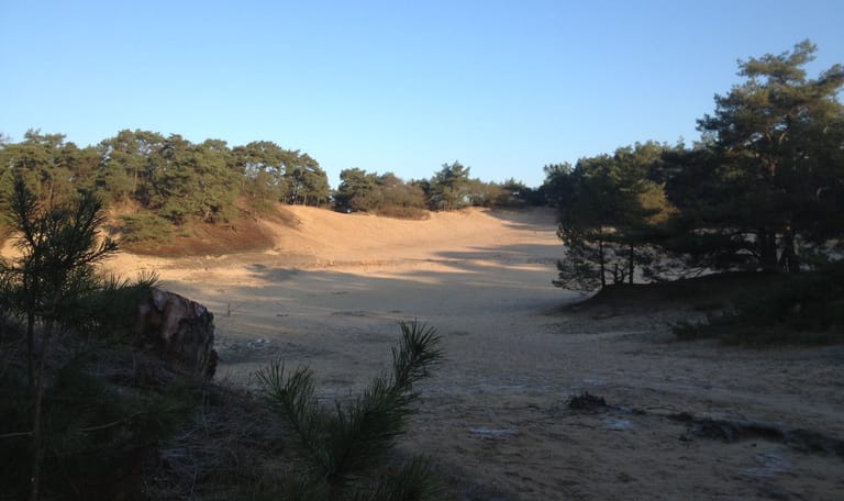 Wandelroute Zwarte Berg, vlak bij Drunen