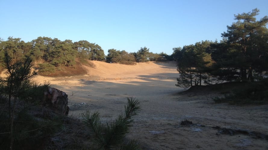 Wandelroute Zwarte Berg, vlak bij Drunen