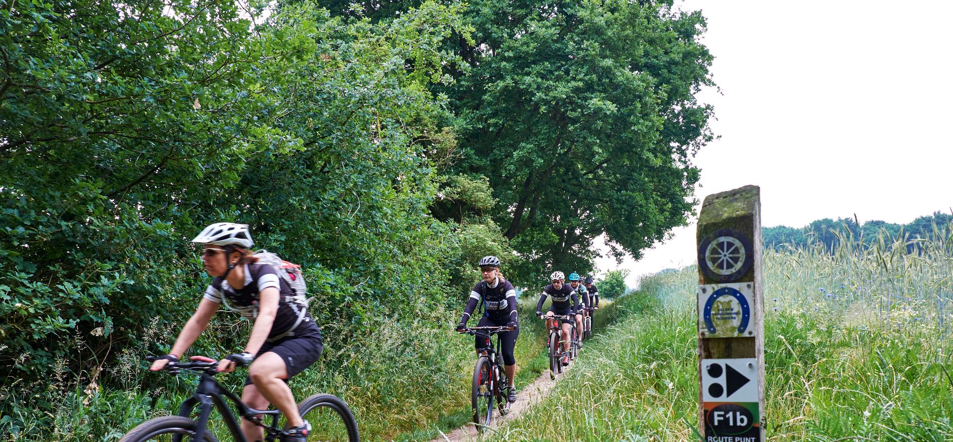 Mountainbiken in het Bergherbos