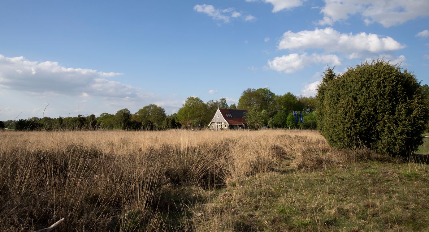 Buurserzand Wakel