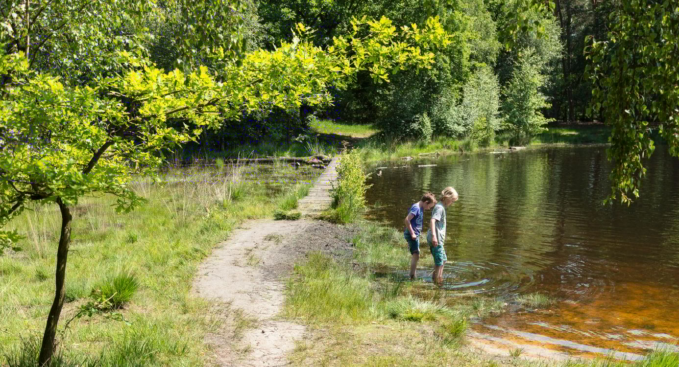 Buursermeer Buursermeertje
