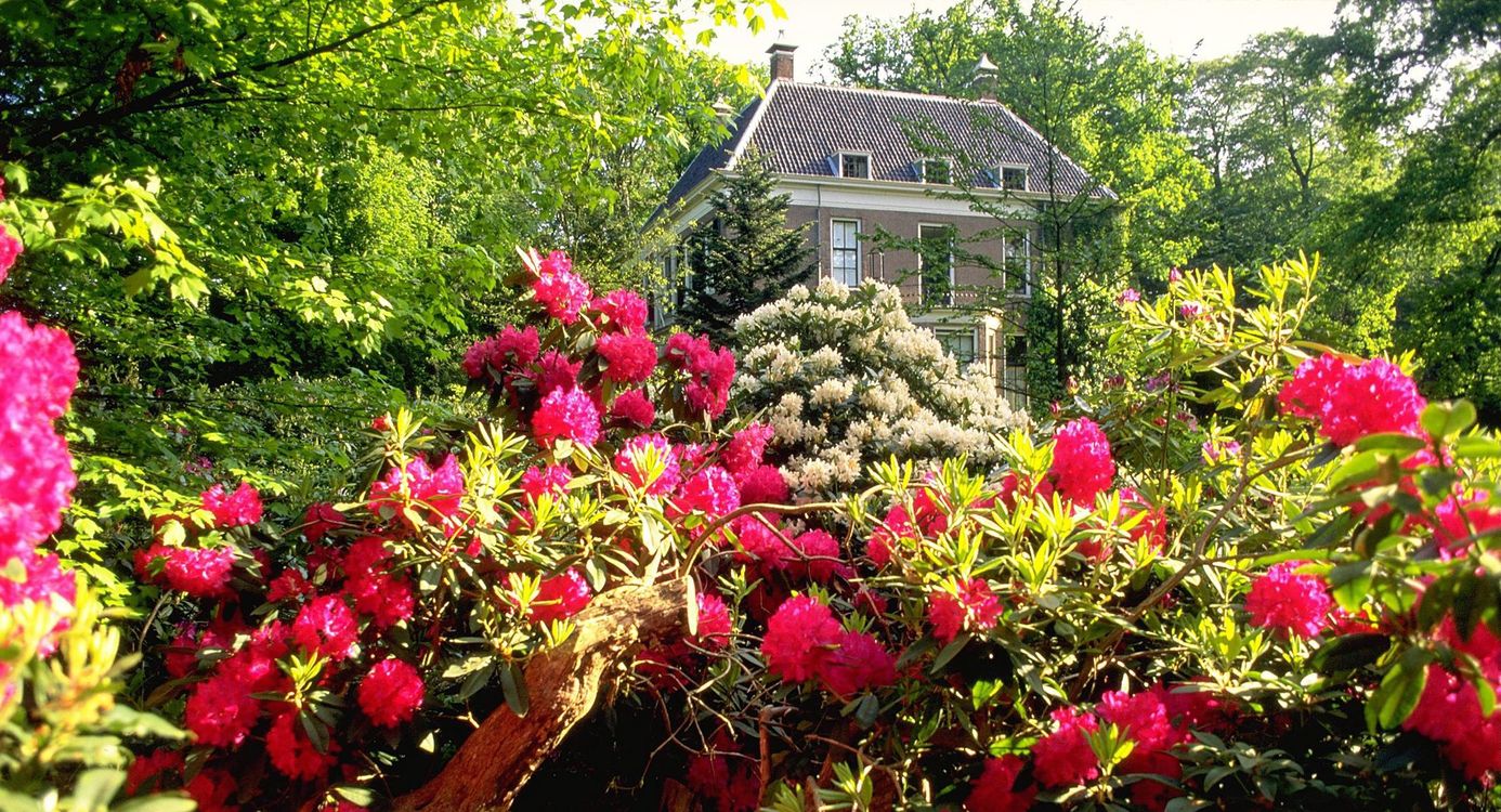 Kleurrijk paradijs