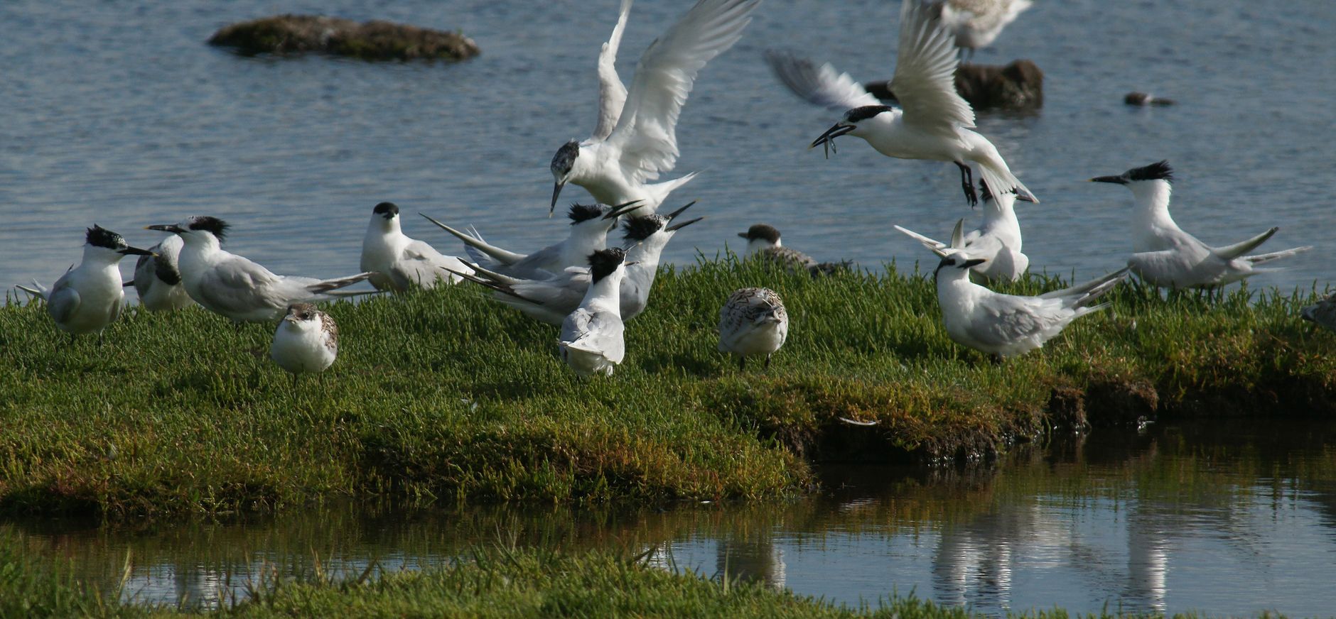 De Petten op Texel