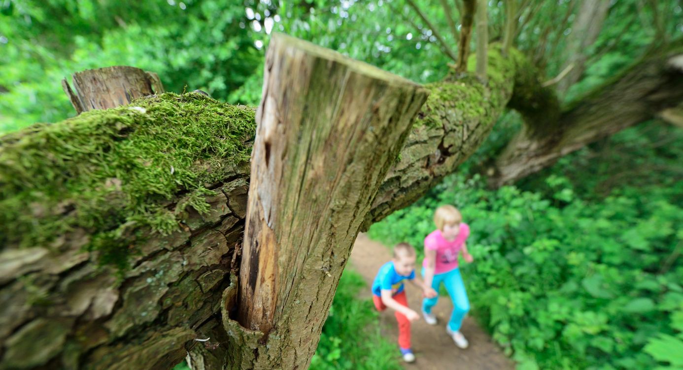 Landgoed Egheria Kinderen