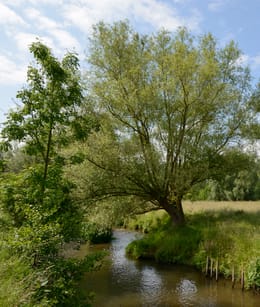 Wandelen langs rivier de Geul in het Geuldal Zuid-Limburg