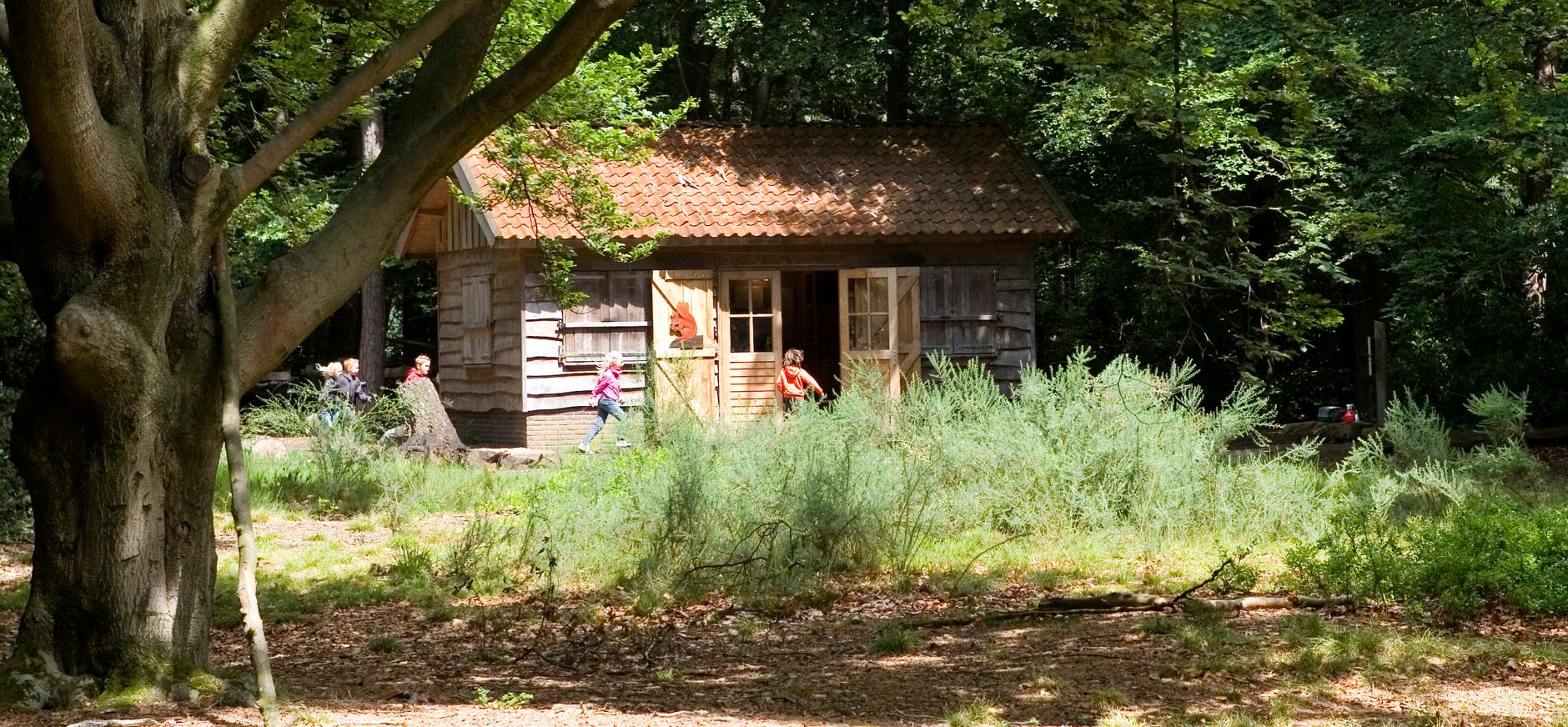 Grintenbosch