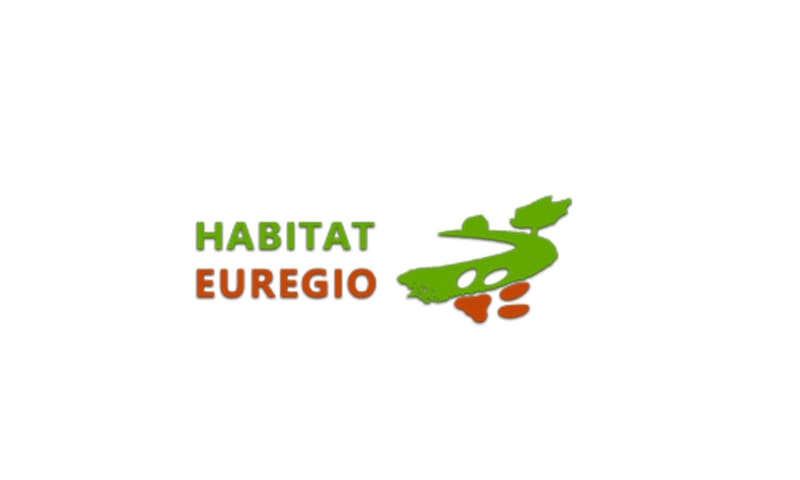 logo euregio