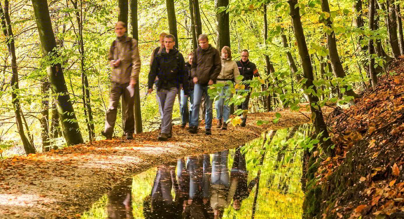 Wandeling langs de Helbeek op de Sint Jansberg