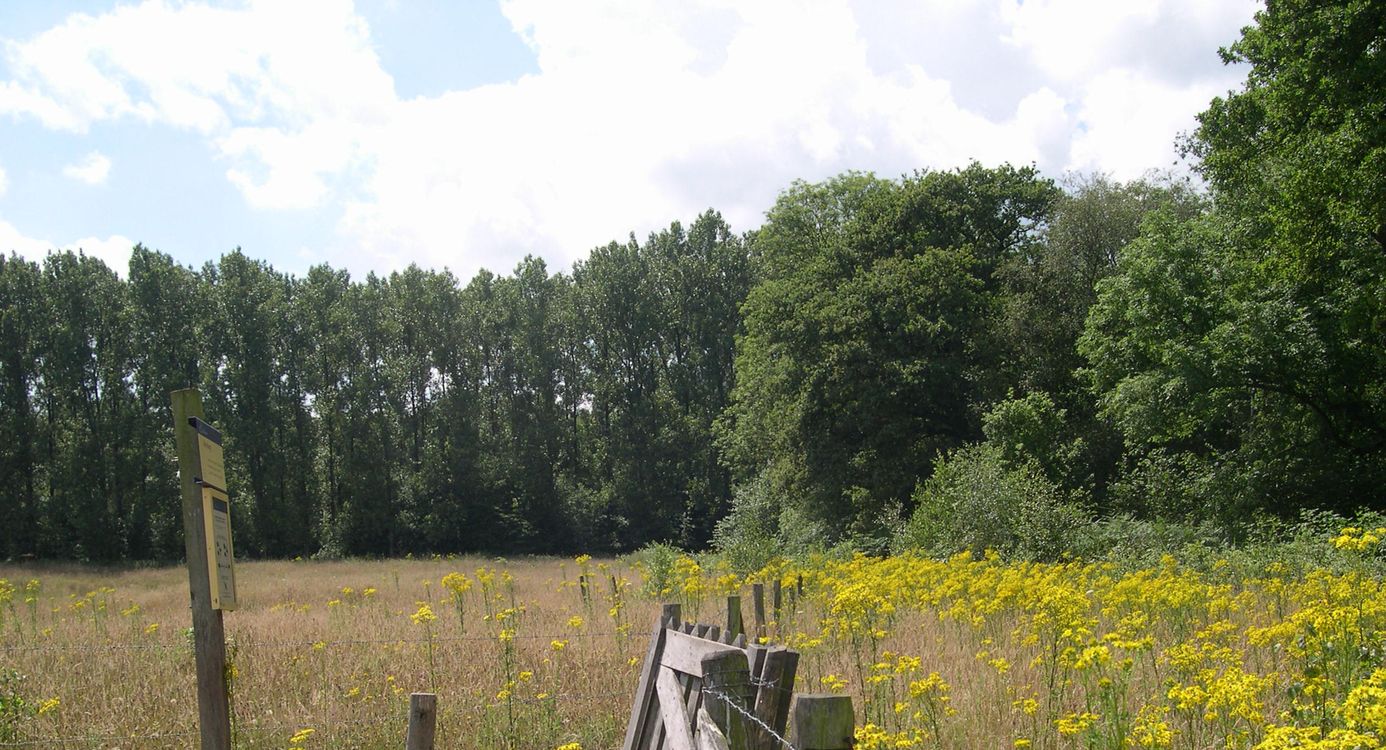 Kempen Broek de Krang
