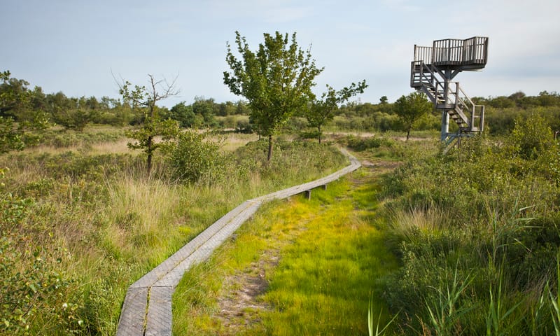 Korenburgerveen