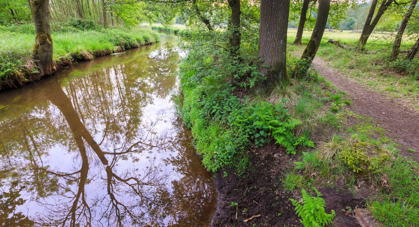 Afwisselend landschap van het Dommeldal