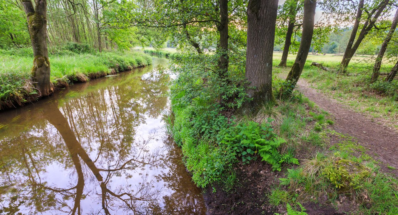 Afwisselend landschap van het Dommeldal
