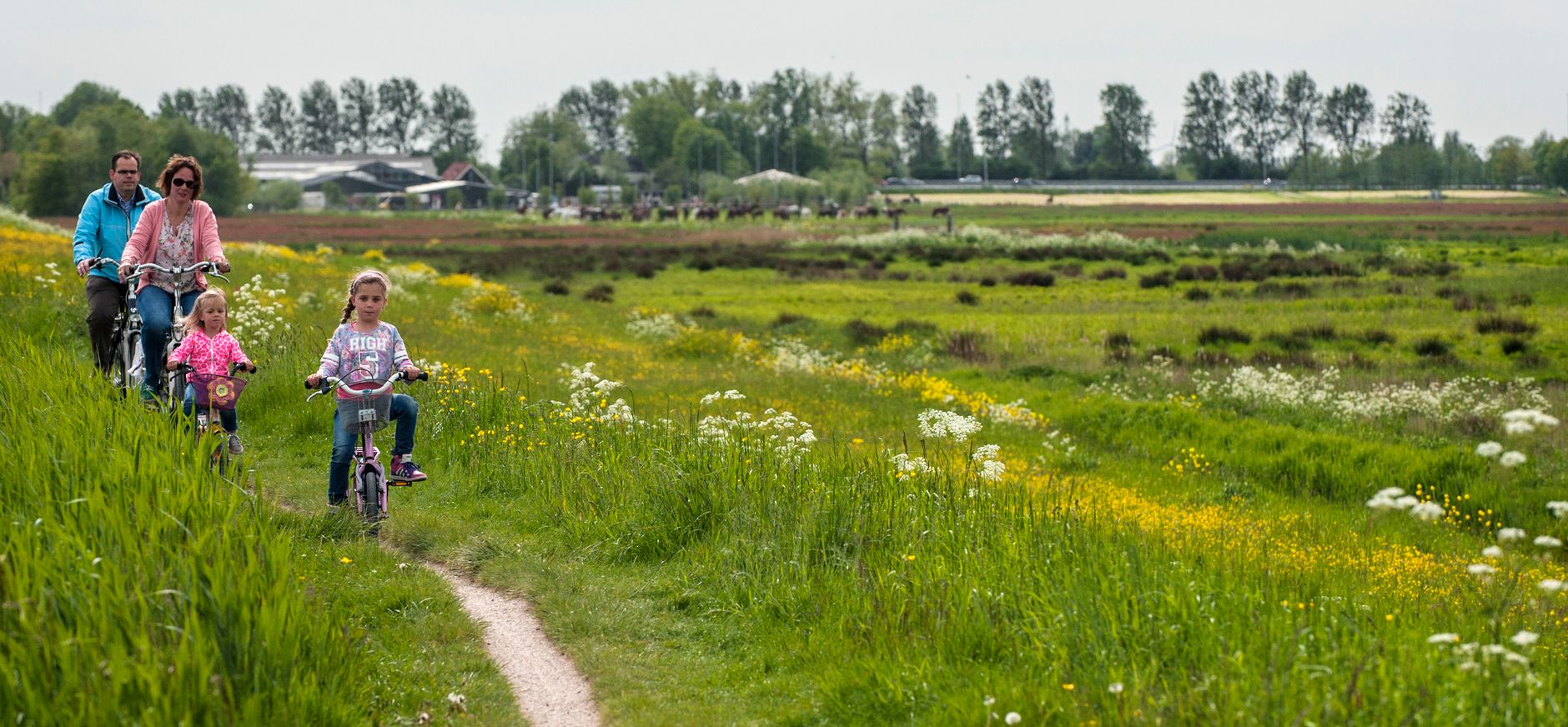 Midden-Delfland