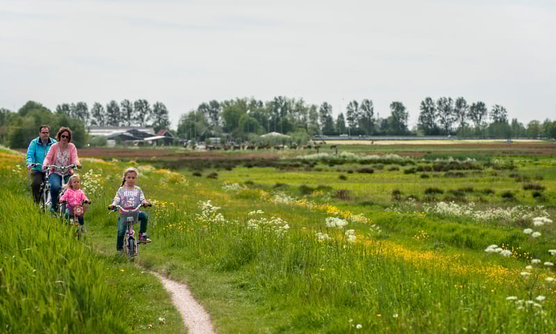 Midden-Delfland
