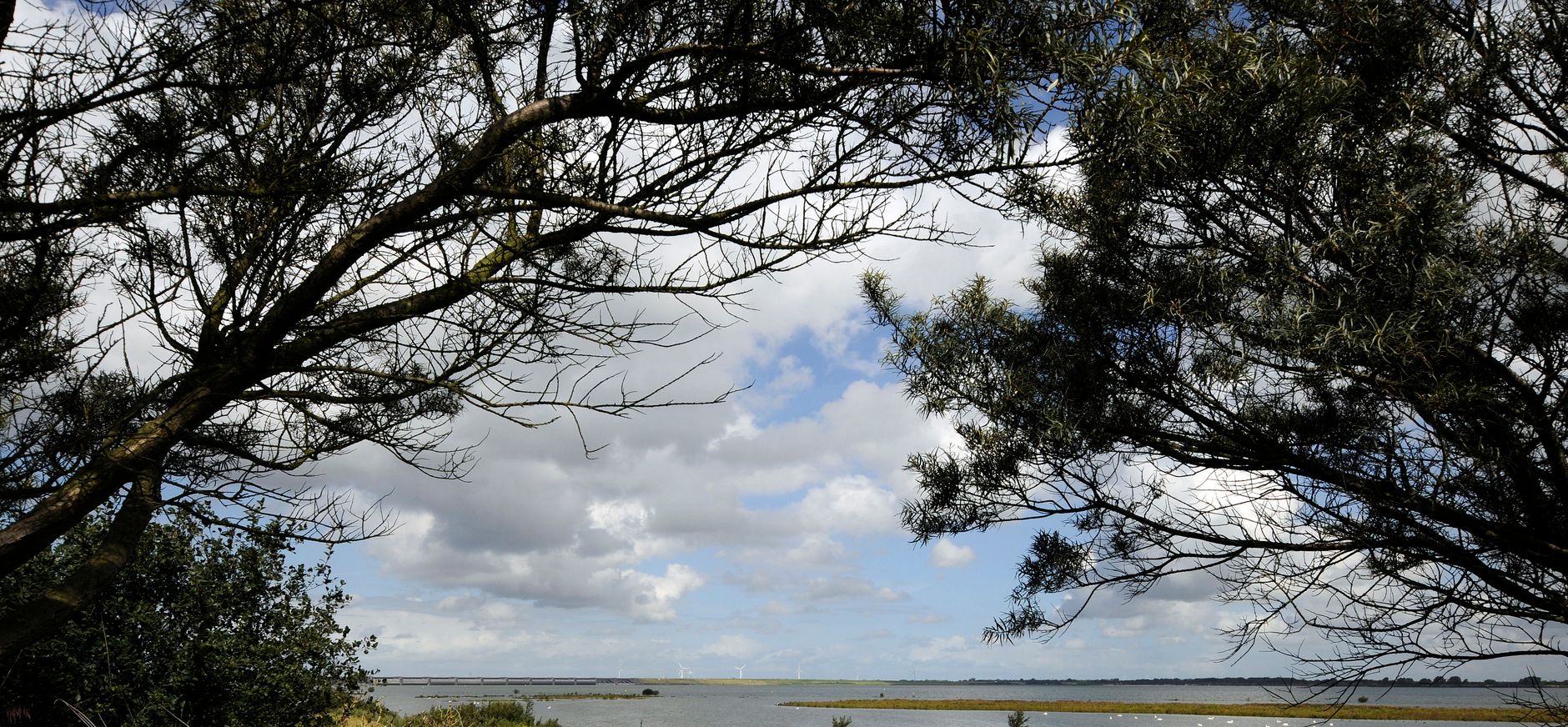 Uitkijkpunt Scheelhoekbos, bij Stellendam