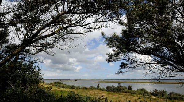 Uitkijkpunt Scheelhoekbos, bij Stellendam