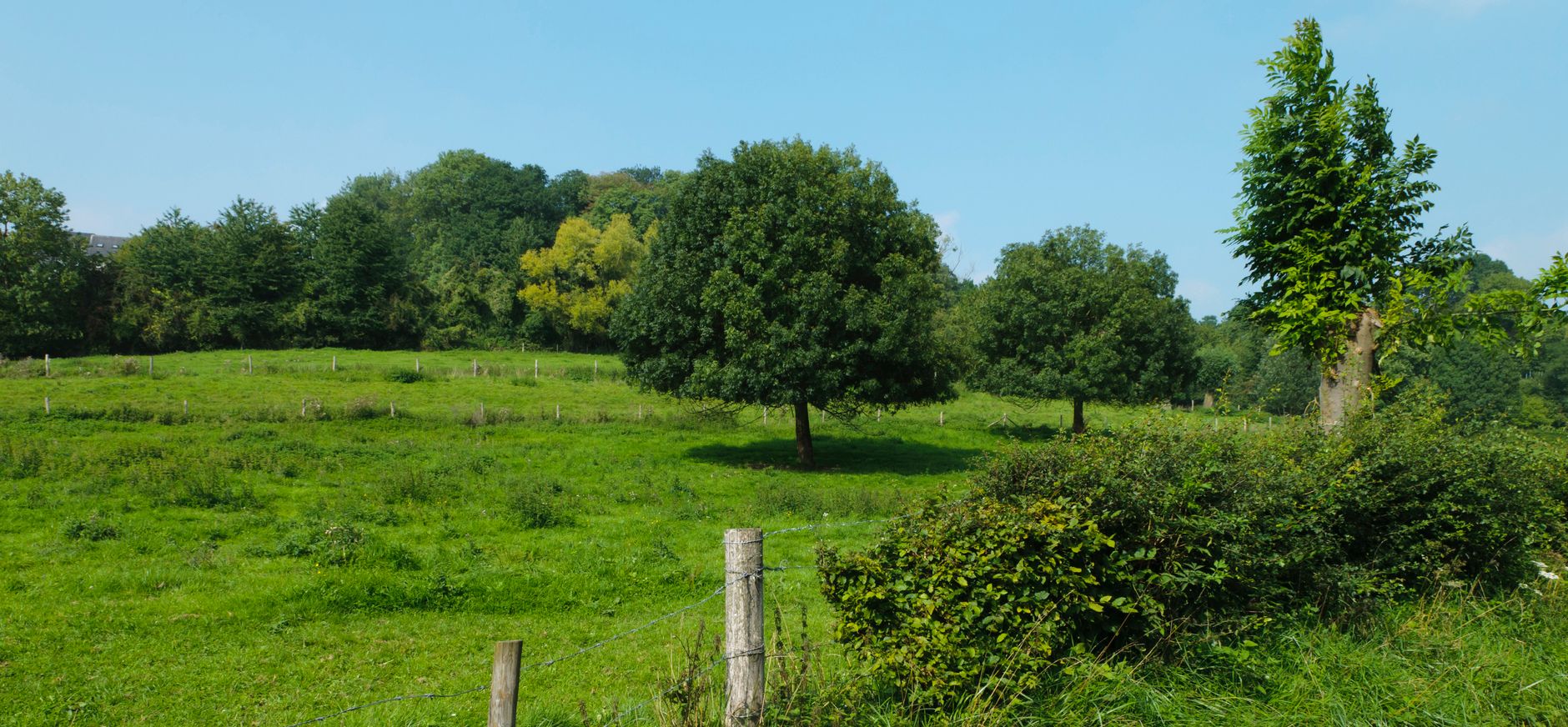 Noordal