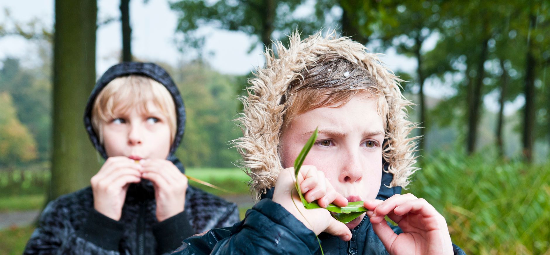 Fluitekruid fluitje maken
