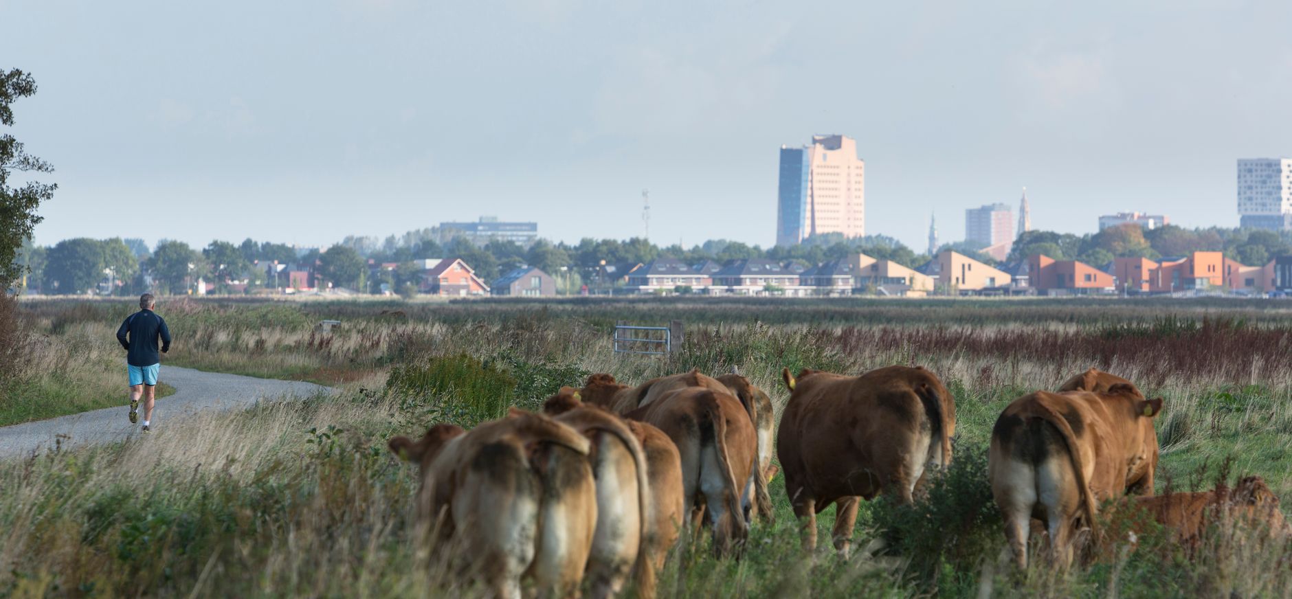 De Onlanderij