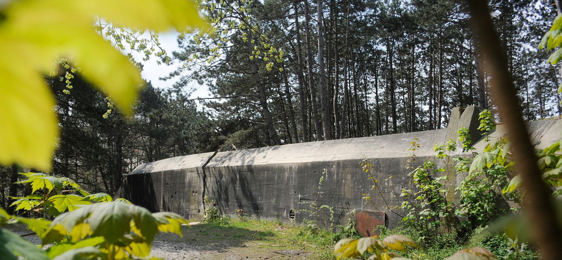 Walvisbunker