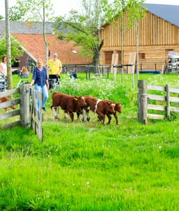 Hoeve Wielrevelt