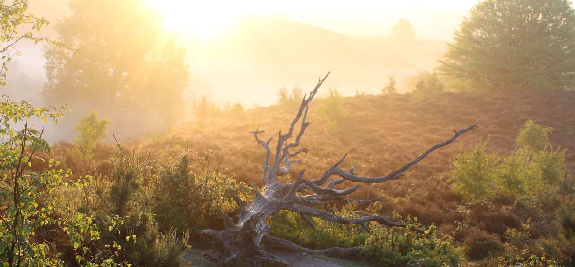 Nationaal Park Veluwezoom Natuurmonumenten