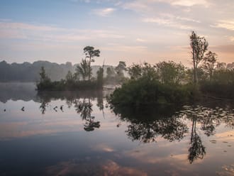 Groepsuitje in de Brabantse natuur